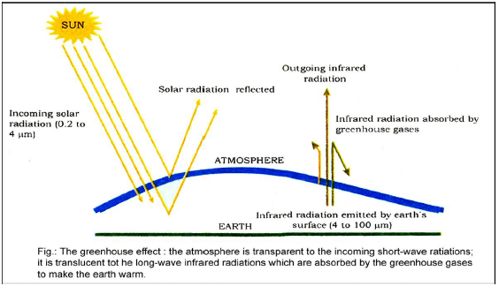 Air Pollution: Causes & Effects | Biology for JAMB