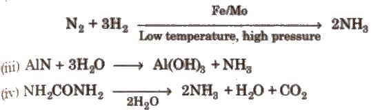 Group 15 Elements: Nitrogen Family | Chemistry Class 12 - NEET