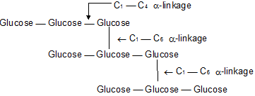 Biomolecules Class 11 Notes Biology Chapter 9