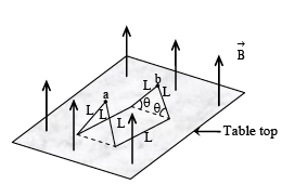 JEE Advanced (One or More Correct Option): Electromagnetic Induction & Alternating Current | Chapter-wise Tests for JEE Main & Advanced