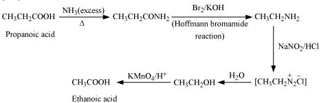 NCERT Solutions Class 12 Chemistry Chapter 9 - Amines