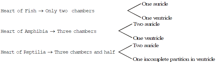 Speciation, Evolution & Classification - Class 10