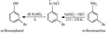 NCERT Solutions Class 12 Chemistry Chapter 9 - Amines
