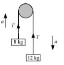 NCERT Solutions Class 11 Physics Chapter 4 - Laws of Motion