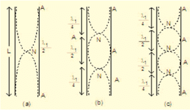 Waves Class 11 Notes Physics Chapter 14