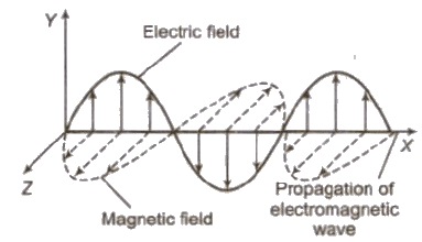 EM Waves Properties & Propagation | Physics Class 12 - NEET