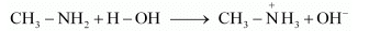 NCERT Solutions Class 12 Chemistry Chapter 9 - Amines