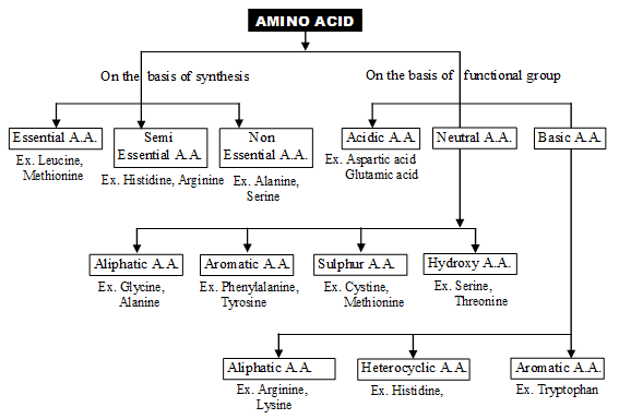Important,Chapter,Notes,Protoplasm,Class,11,Biology