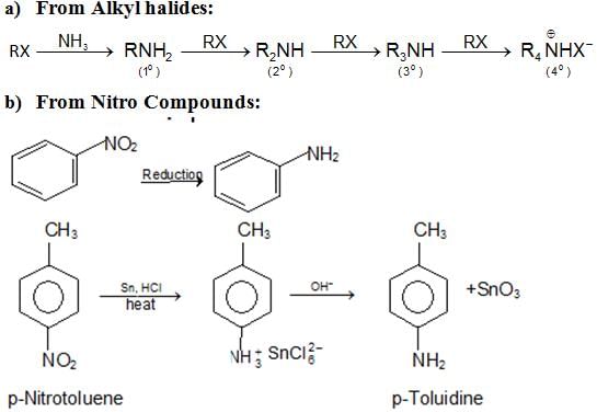 Organic Compounds Containing Nitrogen Class 11 Notes Chemistry