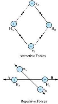 Chemical Bonding, NCERT Solutions, Class 11, Chemistry | Additional Study Material for Class 11