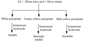 NCERT Solutions Class 11 Chemistry Chapter 8 - Organic Chemistry - Some Basic Principles & Techniques