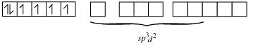 NCERT Solutions Class 12 Chemistry Chapter 5 - Coordination Compounds