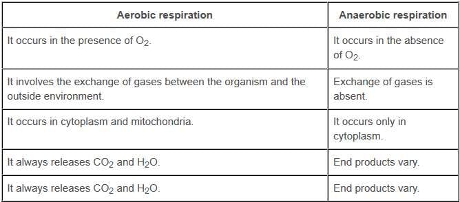 NCERT Solutions for Class 10 Science Chapter 5 - Life Processes