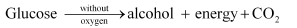 NCERT Solutions Class 12 Biology Chapter 8 - Microbes in Human Welfare