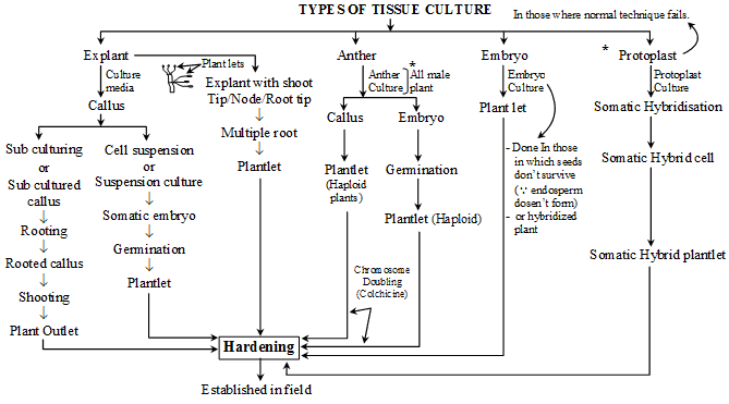 biology