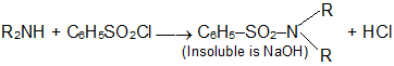 Organic Compounds Containing Nitrogen Class 11 Notes Chemistry