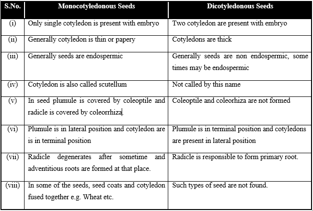 Sexual Reproduction in Flowering Plants, Chapter Notes, Class 12, Biology, Part -2