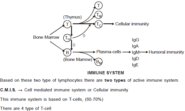 Chapter Notes - Immunity and Disease, Class 12, Biology (AIPMT)