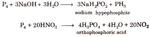 Group 15 Elements: Nitrogen Family | Chemistry Class 12 - NEET