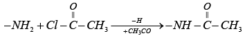 Integer Answer Type Questions for JEE: Compounds Containing Nitrogen | Chapter-wise Tests for JEE Main & Advanced