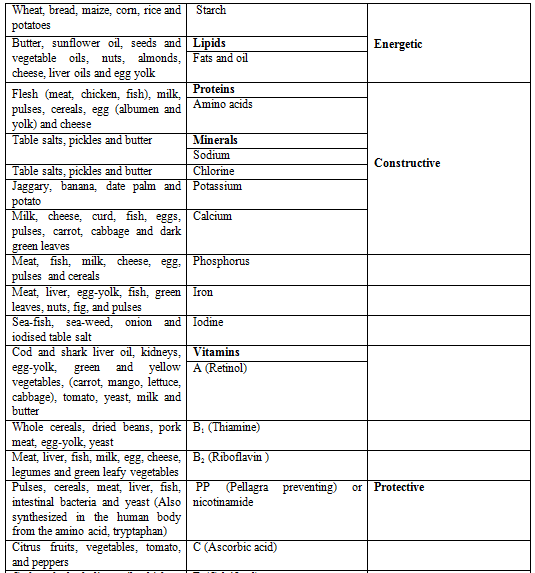 Digestive System, Chapter Notes, Class 11,Biology
