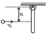 JEE Advanced (One or More Correct Option): Rotational Motion | Chapter-wise Tests for JEE Main & Advanced
