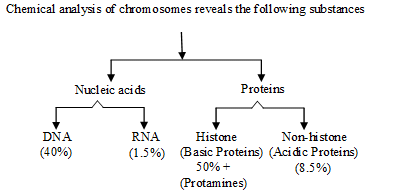 Nucleic Acids: Structure & Bonding | Biology for ACT