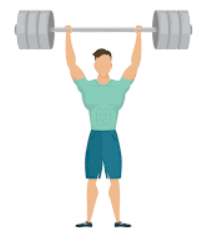 Example of Muscular Forces