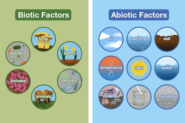 पर्यावरणीय रसायनशास्त्र | General Awareness & Knowledge for RRB NTPC (Hindi) - RRB NTPC/ASM/CA/TA