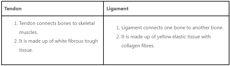 Animal Tissue | General Awareness for SSC CGL