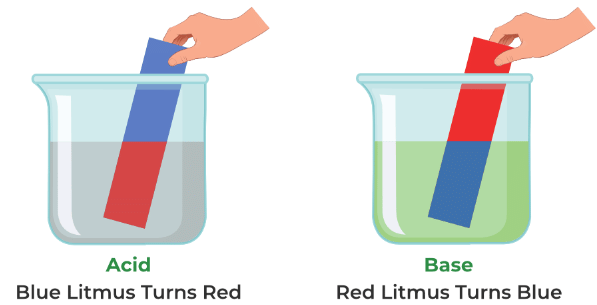 Acids, Bases and Salts | General Awareness for SSC CGL