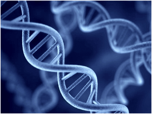 Biotechnology -3 | General Awareness for SSC CGL