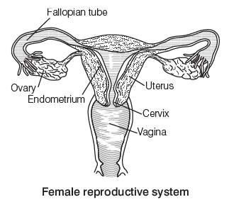 Reproduction in Plants and Animals (Humans) | General Awareness for SSC CGL