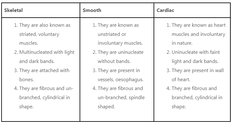 Animal Tissue | General Awareness for SSC CGL