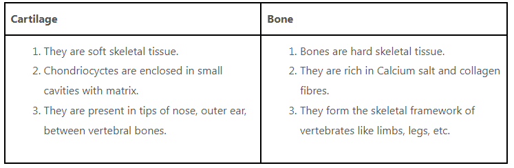 Animal Tissue | General Awareness for SSC CGL