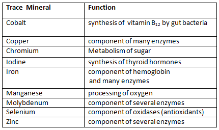 Nutrients | General Awareness for SSC CGL