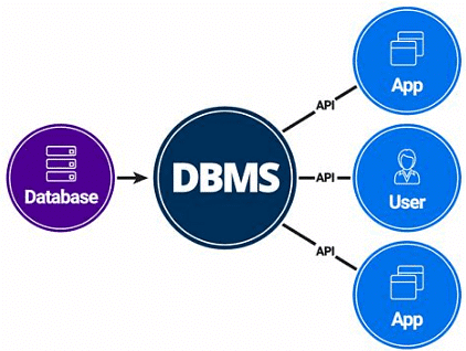 Database Concepts | Computer Awareness and Proficiency - SSC CGL