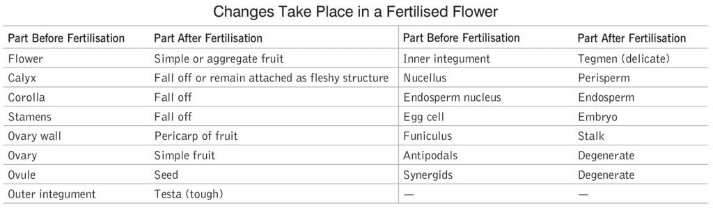 Reproduction in Plants and Animals (Humans) | General Awareness for SSC CGL