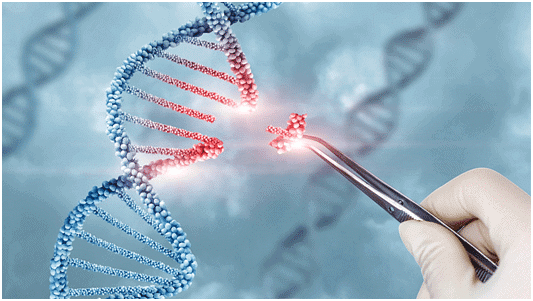 Biotechnology -2 | General Awareness for SSC CGL