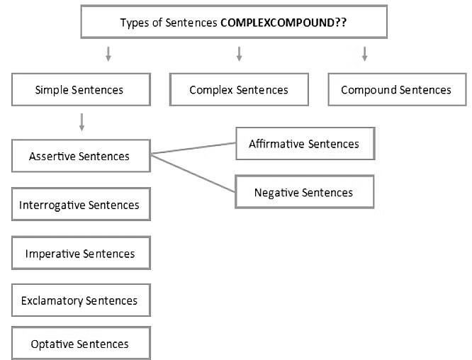 Introduction and Types: Sentences | English Language & Comprehension for SSC CGL