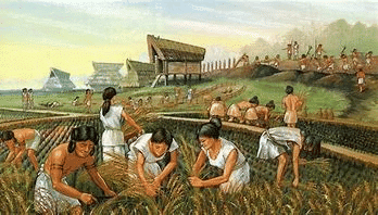 Indus Valley Civilization | General Awareness for SSC CGL