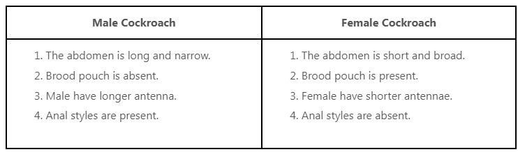 Animal Tissue | General Awareness for SSC CGL