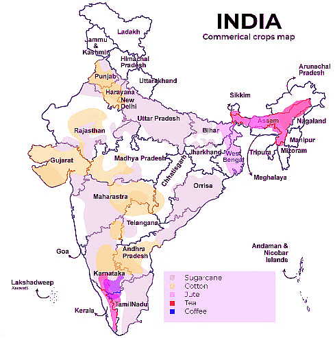भारत में प्रमुख खाद्य फसलें | General Awareness & Knowledge for RRB NTPC (Hindi) - RRB NTPC/ASM/CA/TA