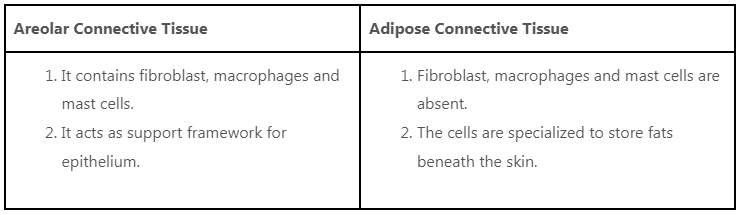 Animal Tissue | General Awareness for SSC CGL