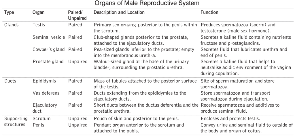 Reproduction in Plants and Animals (Humans) | General Awareness for SSC CGL