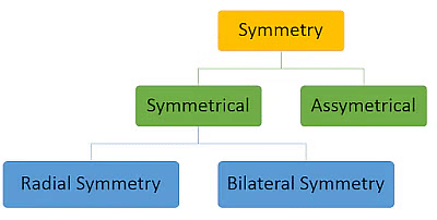 Classification of Animal Kingdom | General Awareness for SSC CGL