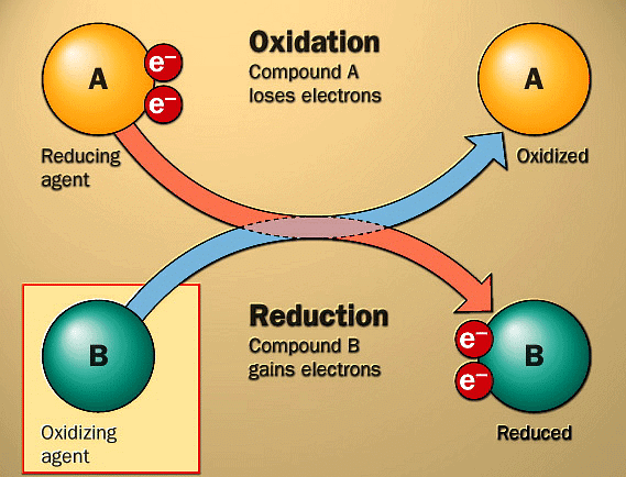Chemical Reactions and Equations | General Awareness for SSC CGL