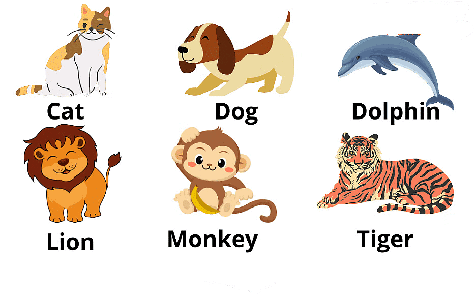 Classification of Animal Kingdom | General Awareness for SSC CGL