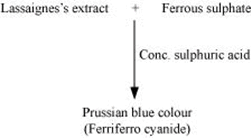 NCERT Solutions Class 11 Chemistry Chapter 8 - Organic Chemistry - Some Basic Principles & Techniques