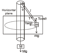 Solved Examples: Work, Energy & Power | Physics Class 11 - NEET